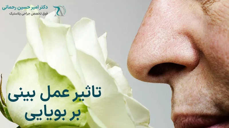 تاثیر عمل بینی بر بویایی چیست؟